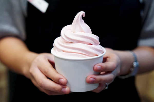 Ice Cream, Soft-Serve, Gelato, Custard and Yogurt: Difference ?