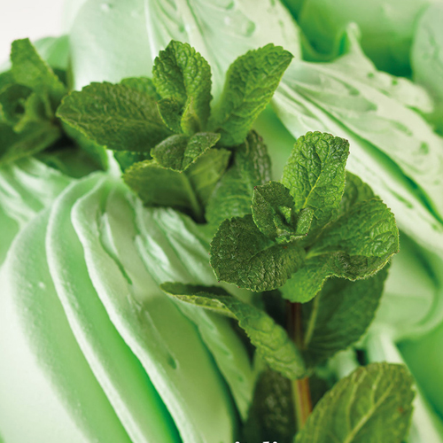 TOPPING MINT